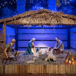 Szopki Bożonarodzeniowe w rudzkich kościołach