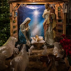 Szopki Bożonarodzeniowe w rudzkich kościołach