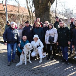 Wycinka drzew na Rudzie