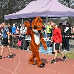 Jubileuszowy "Bieg Wiewiórki"