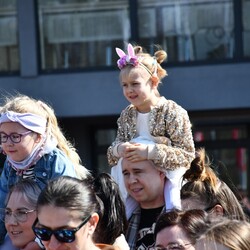 Poszukiwania jajek w Rudzie Śląskiej