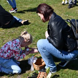 Poszukiwania jajek w Rudzie Śląskiej
