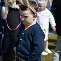 Poszukiwania jajek w Rudzie Śląskiej