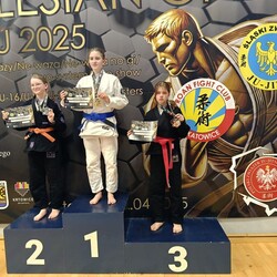 Zawody VIII Silesian Open