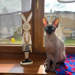 Wielkanocny klimat w obiektywie