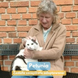 Adopcje Fauna