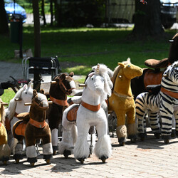 15 urodziny In-nego Domu Kultury