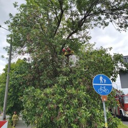 Burza nad Rudą Śląską