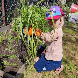 Dzień Dziecka - konkurs