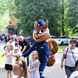 Festyn Rodzin i Rodzin Zastępczych