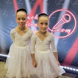 Śląska Scena Młodych - spektakl charytatywny