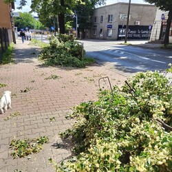 Skutki burzy w Rudzie Śląskiej