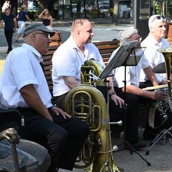 Koncert promenadowy na Goduli