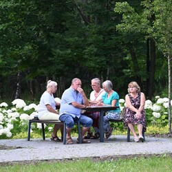 Koncert promenadowy - Czarny Las