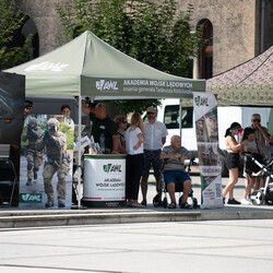 Obchody Święta Wojska Polskiego