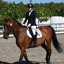 Towarzyskie Zawody Jeździeckie o Puchar Prezydenta Miasta