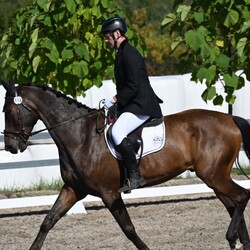 Towarzyskie Zawody Jeździeckie o Puchar Prezydenta Miasta