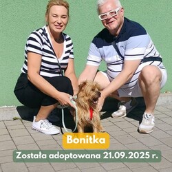 Adopcje TOZ Fauna