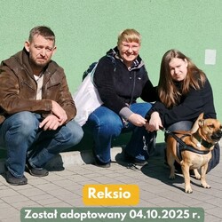 Adopcje TOZ Fauna