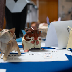 Regionalny Konkurs Modeli Kartonowych w Rudzie Śląskiej