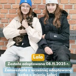 Adopcje TOZ Fauna
