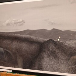 XIX Spotkania Górskie Lawiny