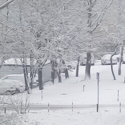 Ruda Śląska w śnieżnej odsłonie