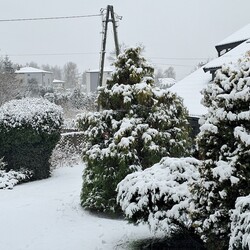 Ruda Śląska w śnieżnej odsłonie