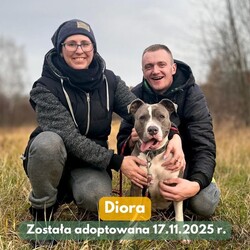 Adopcje TOZ Fauna Listopad