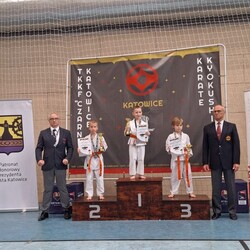 Turniej Karate Katowice