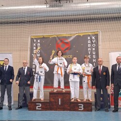 Turniej Karate Katowice