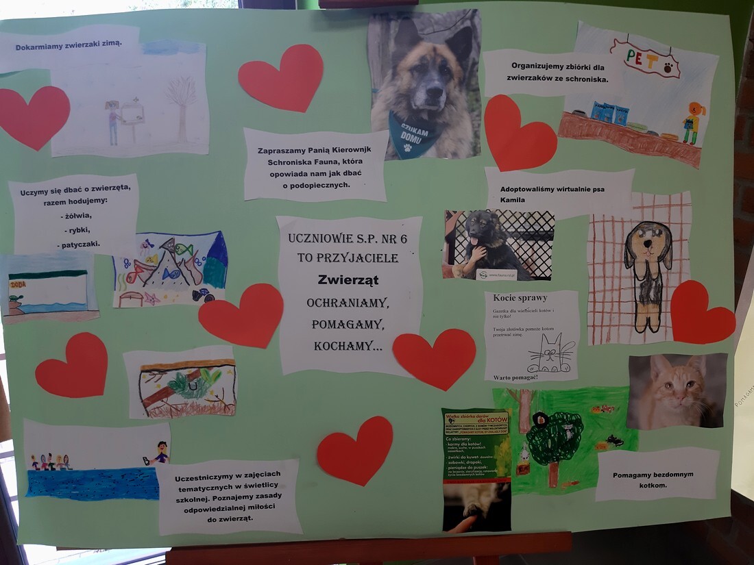 Towarzystwo Opieki nad Zwierzętami "FAUNA" obchodzi 25-lecie istnienia. Podczas oficjalnej uroczystości celebrującej ten jubileusz TOZ otrzymało do użytkowania budynek przeznaczony na cele statutowe, wręczono również nagrody laureatom konkursu "Jestem przyjacielem zwierząt...".