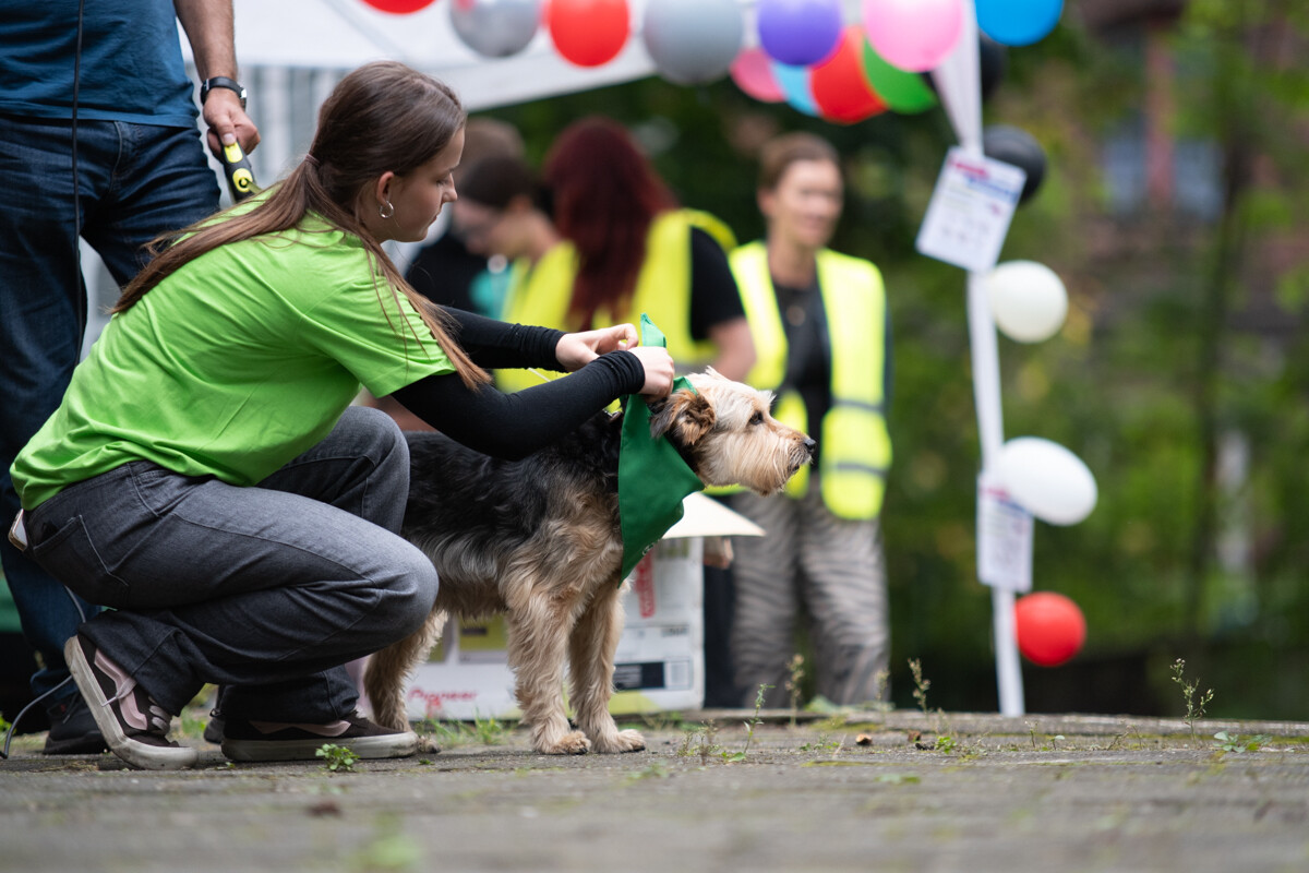 Fauna obchodzi 31. urodziny! Świętowaniu towarzyszy wiele atrakcji [ZDJĘCIA] / fot. Marek i Krzysztof Faber