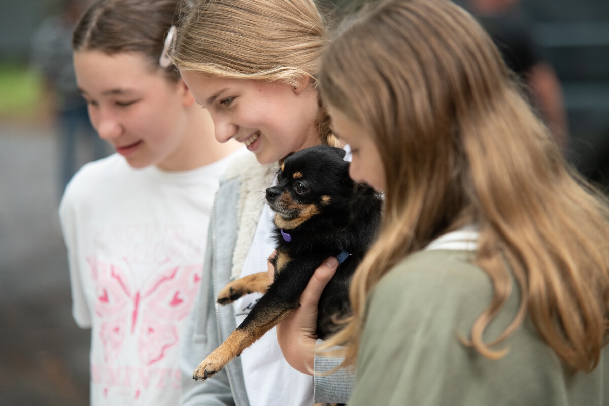 Fauna obchodzi 31. urodziny! Świętowaniu towarzyszy wiele atrakcji [ZDJĘCIA] / fot. Marek i Krzysztof Faber
