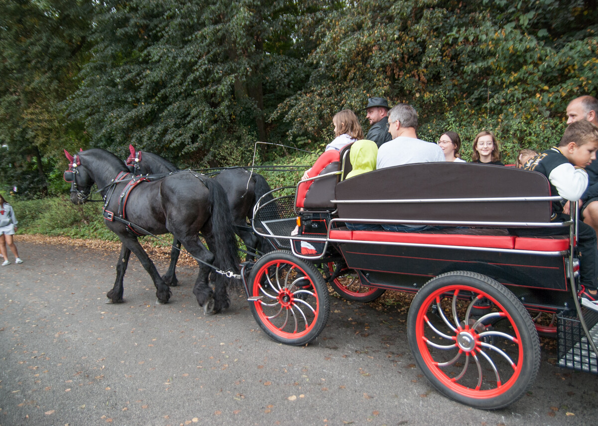 Tydzień temu była impreza przy kościele pw. Świętego Michała Archanioła, teraz przyszła pora na imprezę plenerową na orzegowskiej Burloch Arenie.