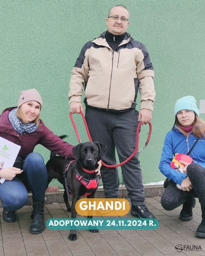 Owocny tydzień pełen adopcji w Faunie!/fot. TOZ Fauna