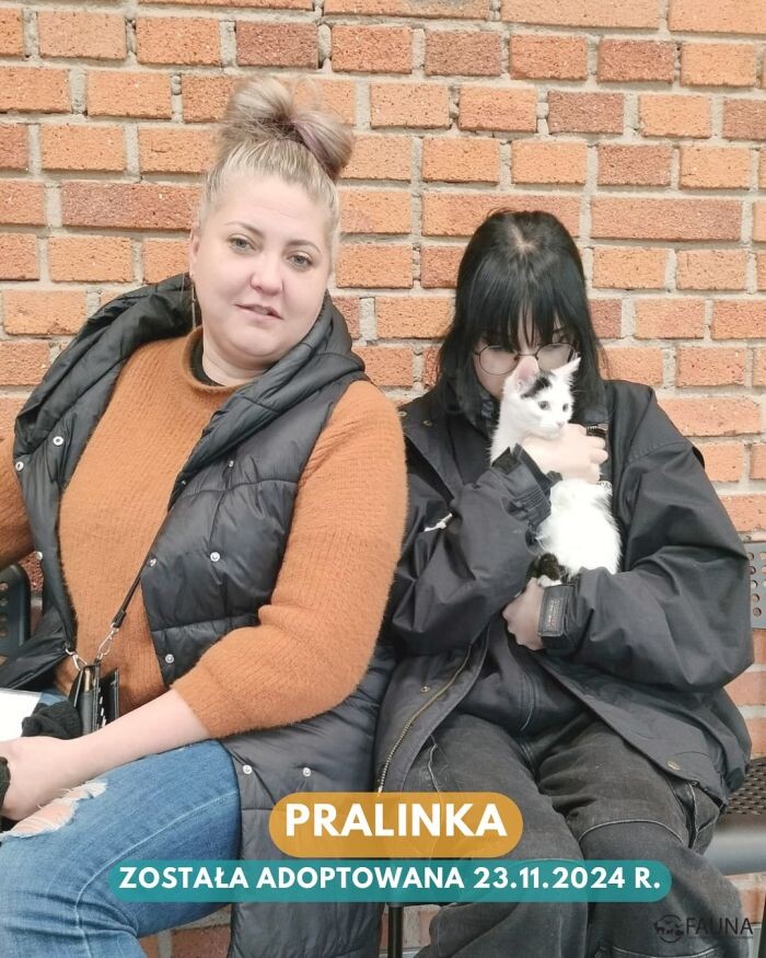Owocny tydzień pełen adopcji w Faunie!/fot. TOZ Fauna