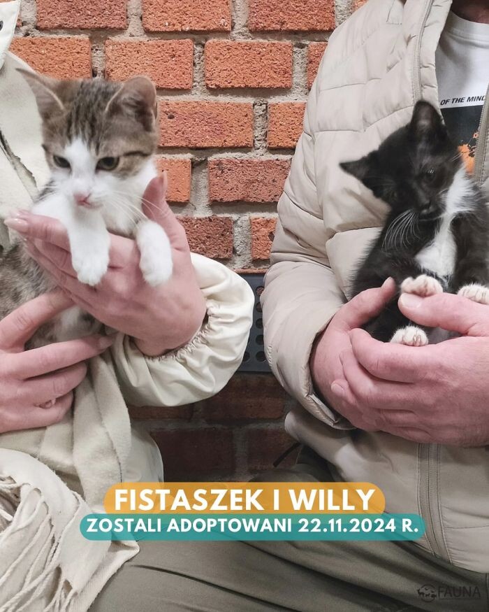 Owocny tydzień pełen adopcji w Faunie!/fot. TOZ Fauna