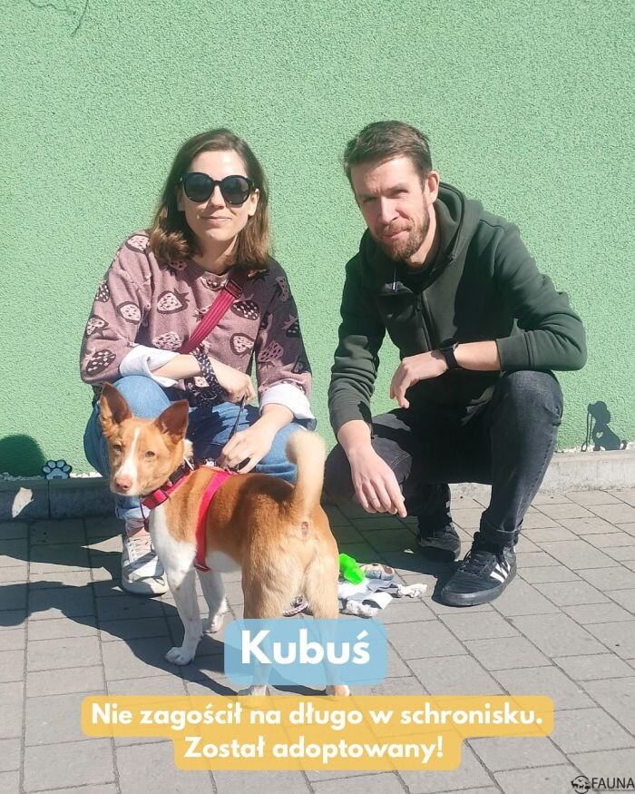 Adopcyjne podsumowanie – kolejne zwierzaki w nowych domach!/fot. TOZ Fauna