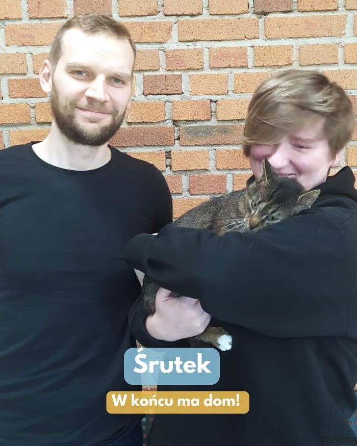 Adopcyjne podsumowanie – kolejne zwierzaki w nowych domach!/fot. TOZ Fauna