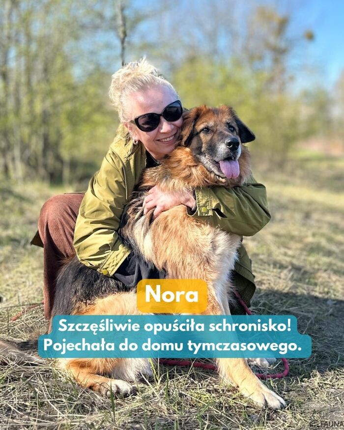 Kolejne Fauniaki trafiły do kochających domów!/fot. TOZ Fauna