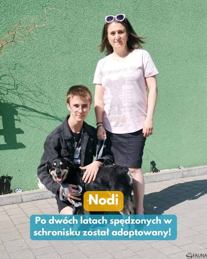 Kolejne Fauniaki trafiły do kochających domów!/fot. TOZ Fauna
