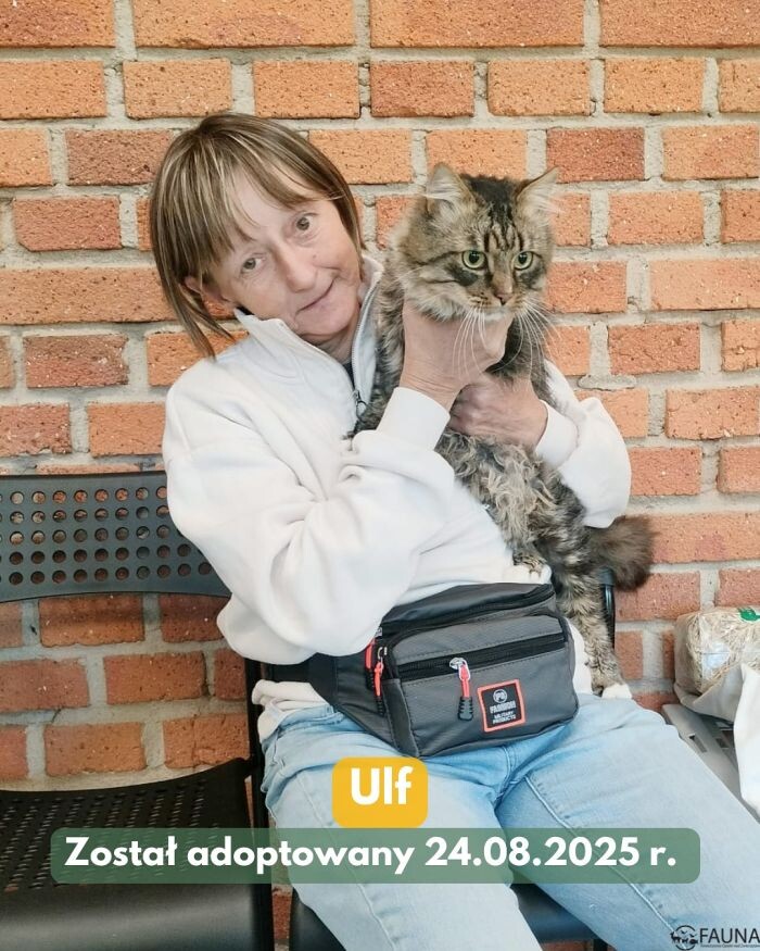 Czworonogi w nowych domach – sprawdź adopcyjne podsumowanie tygodnia!/fot. TOZ Fauna