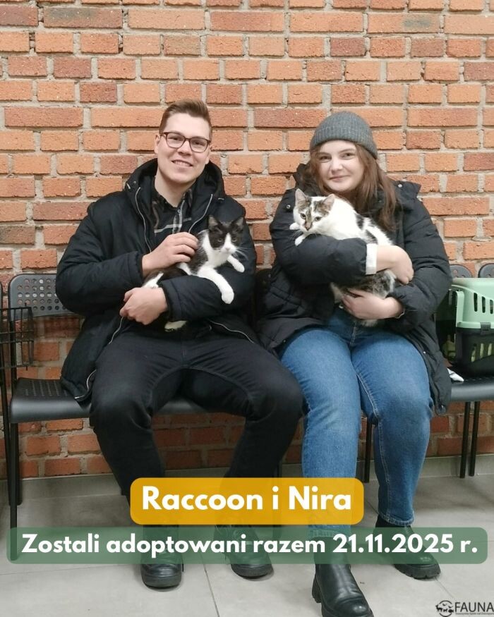 Kolejne czworonogi z „Fauny” w nowych domach!/fot. TOZ Fauna