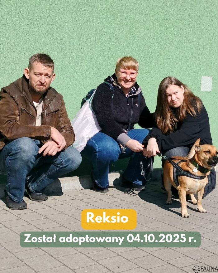 Psi tydzień w „Faunie” – kolejne psiaki znalazły domy!/fot. TOZ Fauna