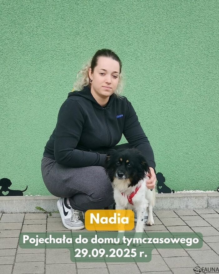 Psi tydzień w „Faunie” – kolejne psiaki znalazły domy!/fot. TOZ Fauna