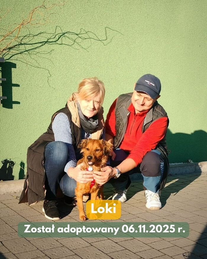 Adopcyjne podsumowanie – poznaj czworonogi, które znalazły dom/fot. TOZ Fauna