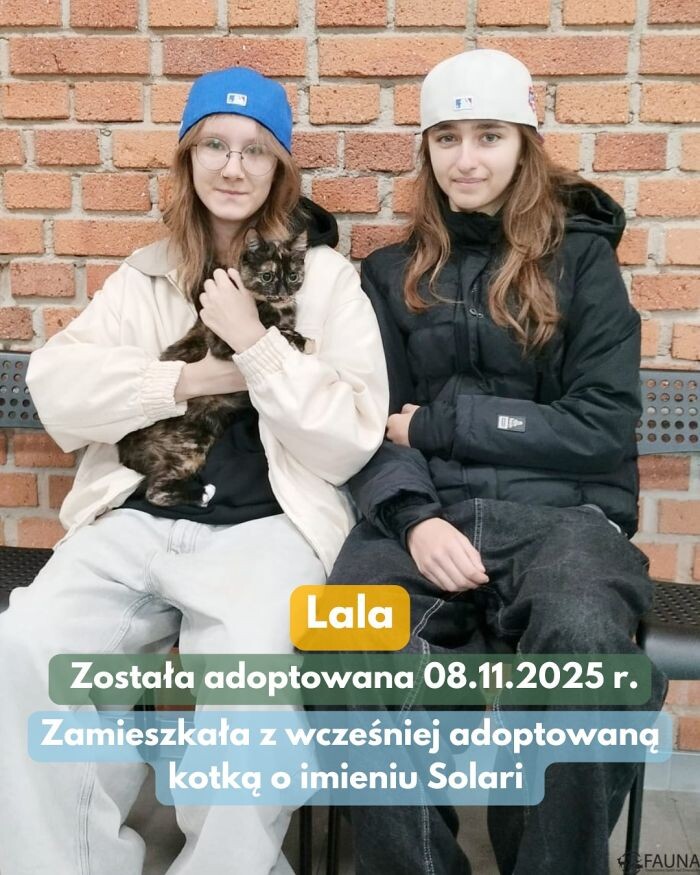 Adopcyjne podsumowanie – poznaj czworonogi, które znalazły dom/fot. TOZ Fauna