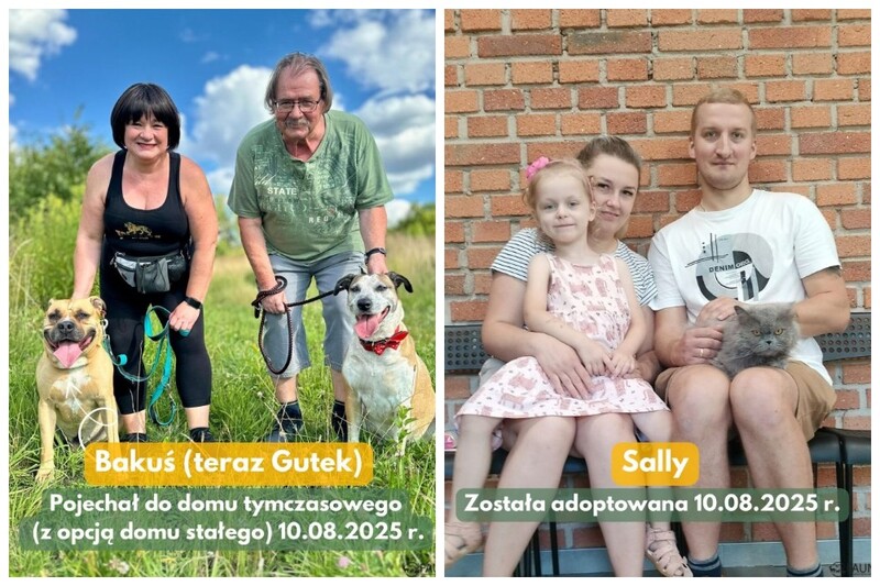 Adopcje w TOZ Fauna – sprawdź, które zwierzaki pojechały do nowych domów!