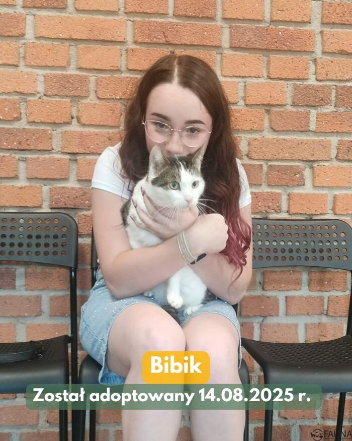 Kolejne adopcyjne podsumowanie tygodnia – kolejne czworonogi znalazły dom/fot. TOZ Fauna